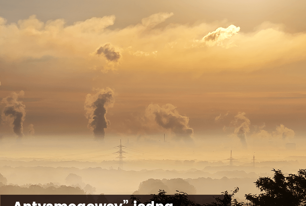 „Antysmogowcy” jedną z przyczyn smogu w Polsce?